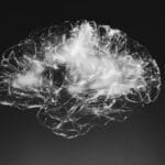 ¿Qué es la mala circulación cerebral y cómo mejorarla con medicamentos herbolarios? 