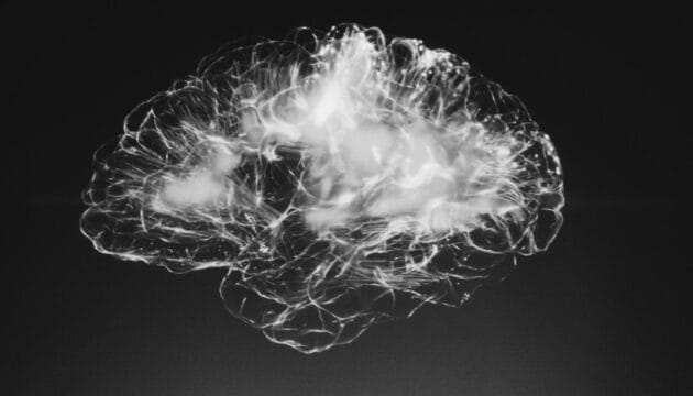 ¿Qué es la mala circulación cerebral y cómo mejorarla con medicamentos herbolarios? 